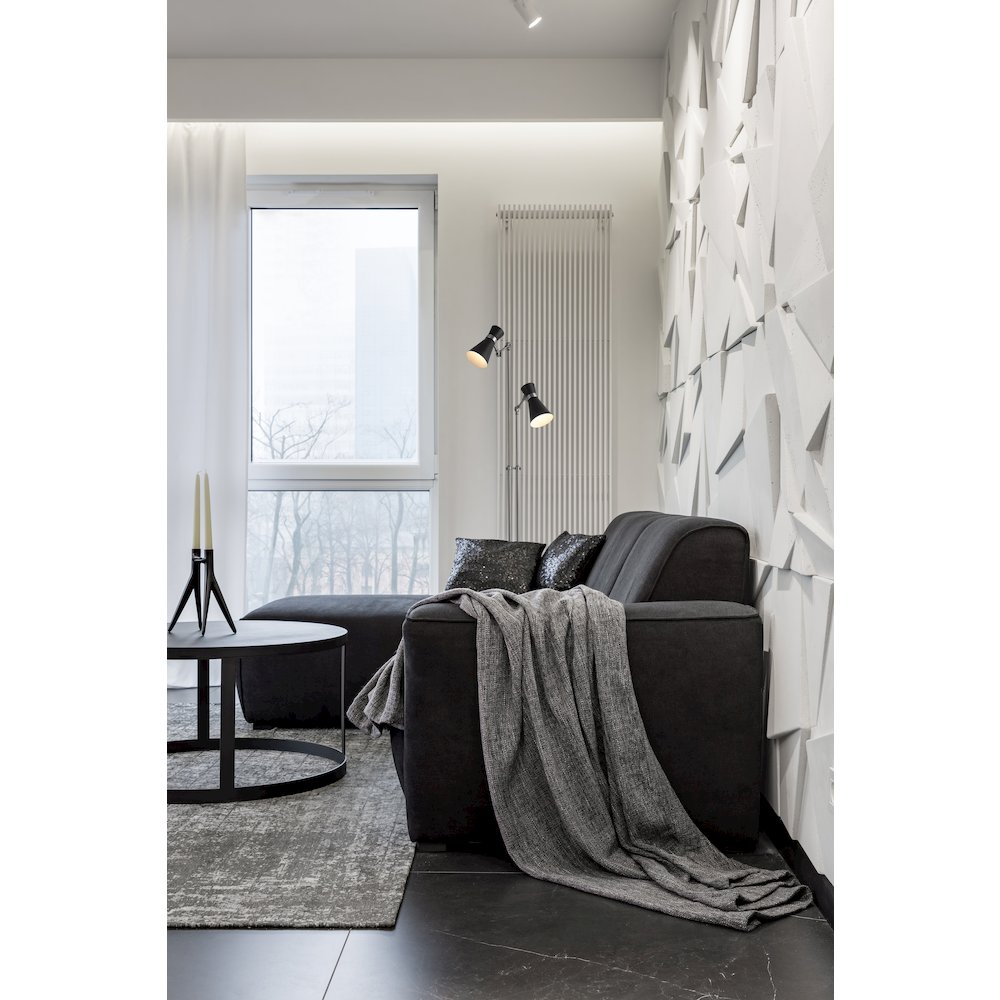 Z-Lite 2 Light Floor Lamp. Picture 6