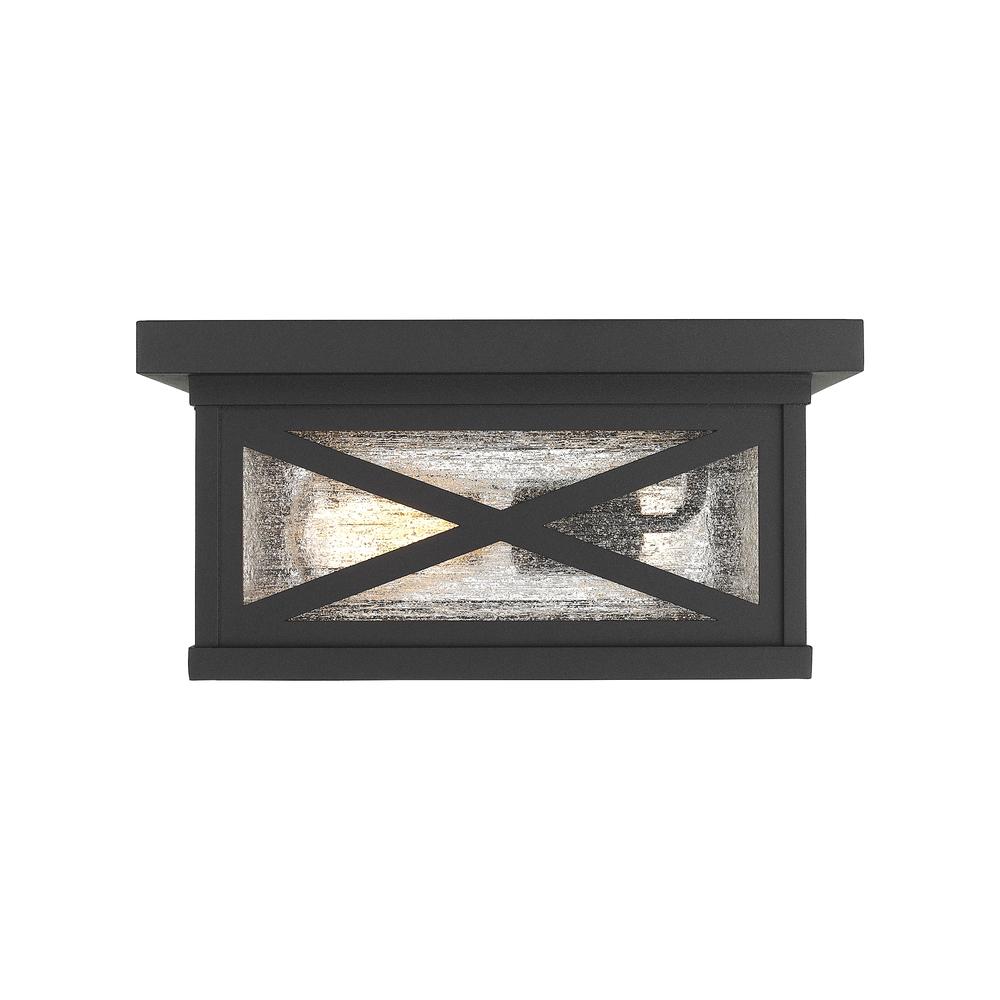 2 Light Outdoor Flush Mount. Picture 2