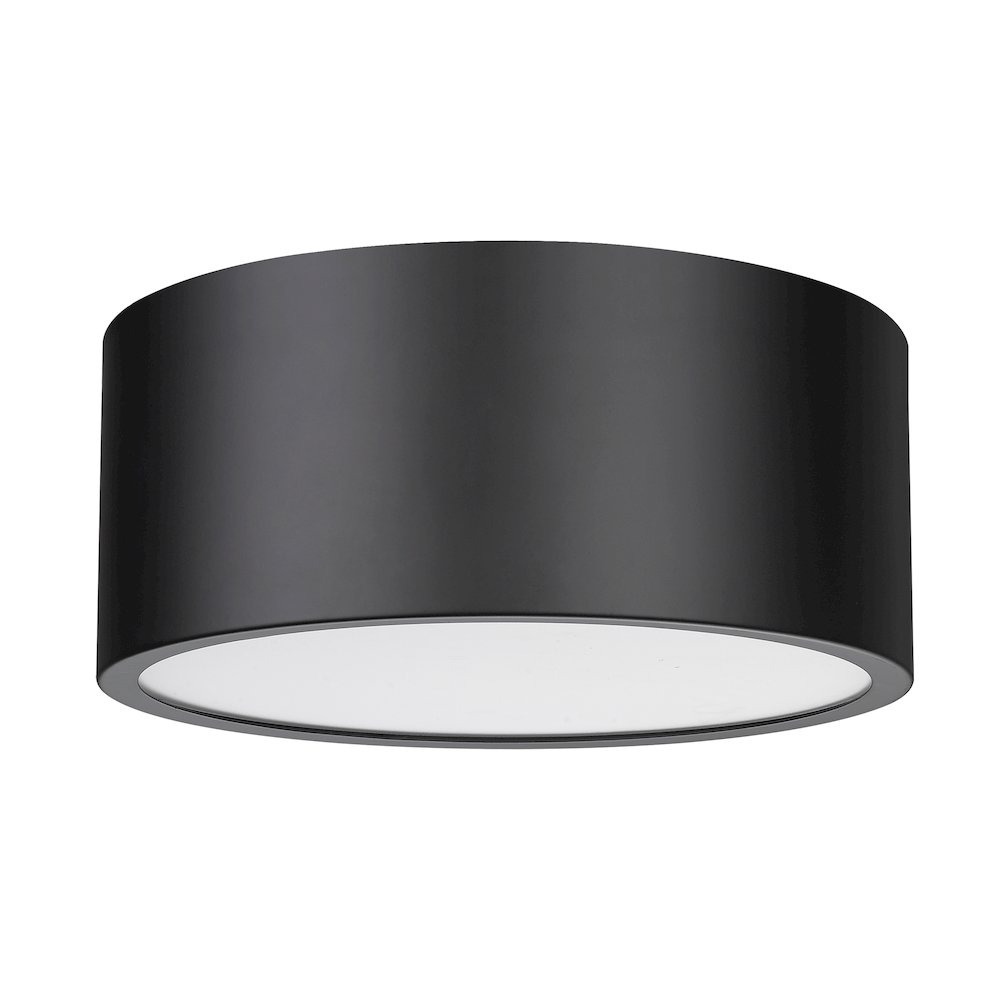 Z-Lite 2 Light Flush Mount. Picture 5