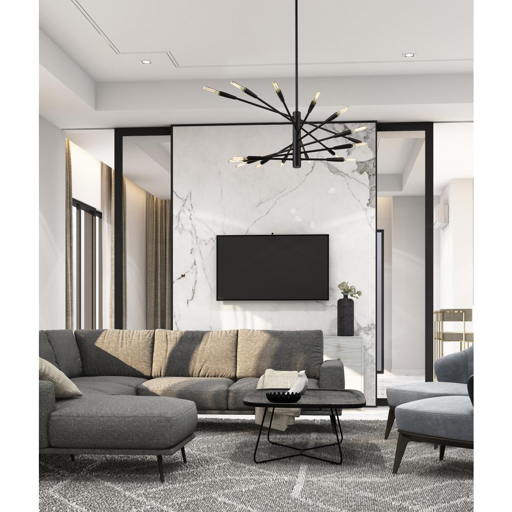 16 Light Chandelier. Picture 8