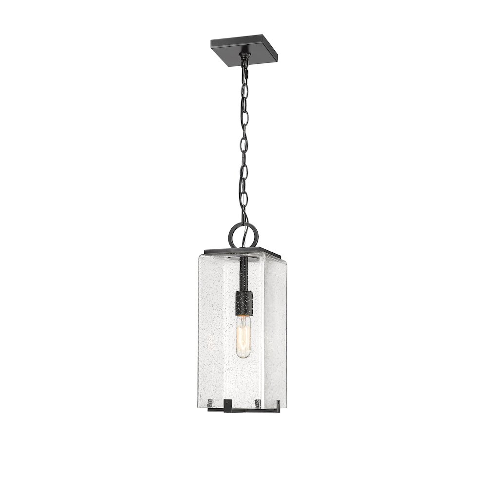 Z-Lite 1 Light Outdoor Chain Mount Ceiling Fixture. Picture 1