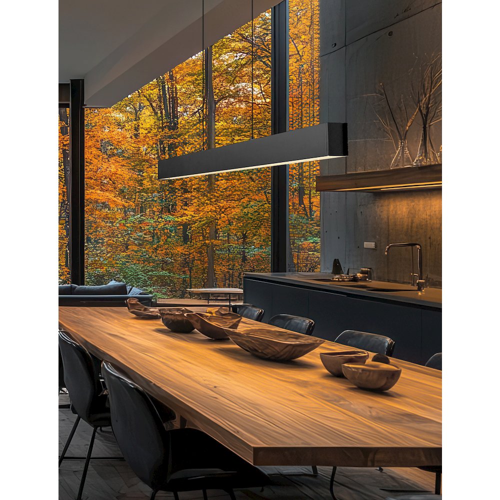 Z-Lite 1 Light Linear Chandelier, Matte Black. Picture 5