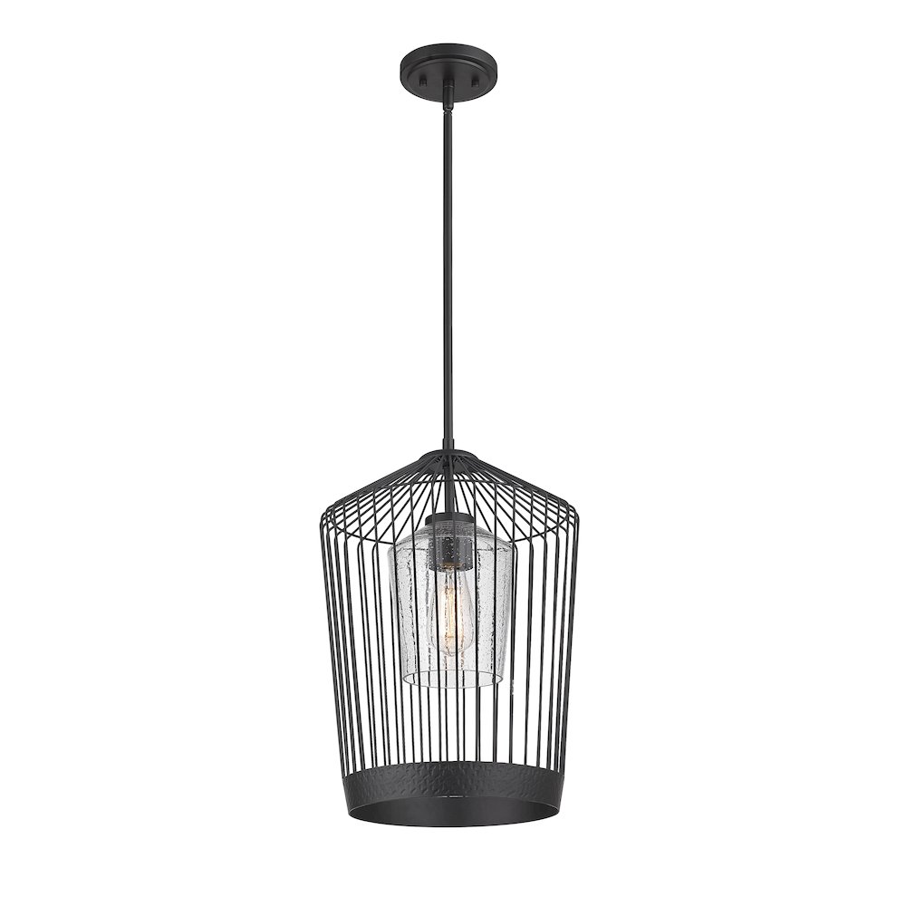 Z-Lite 1 Light Pendant. Picture 2