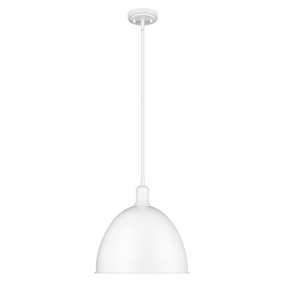 1 Light Pendant. Picture 1