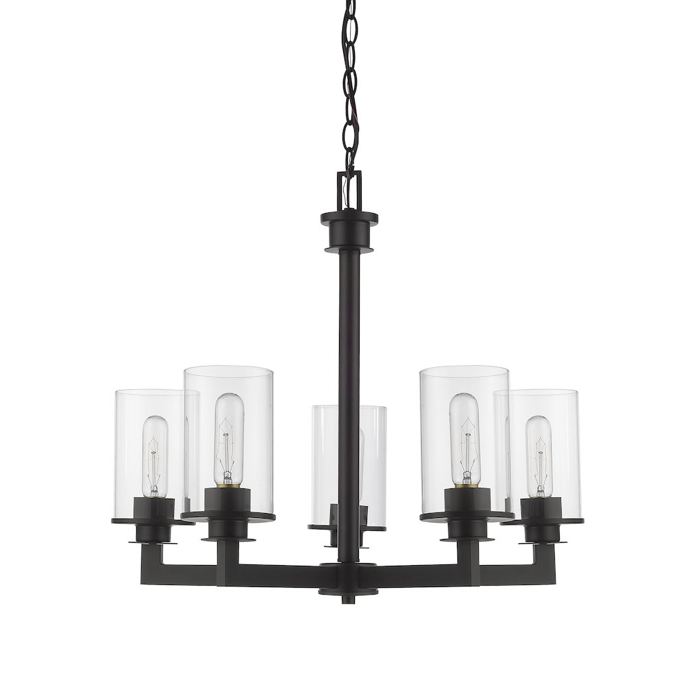 Z-Lite 5 Light Chandelier. Picture 5