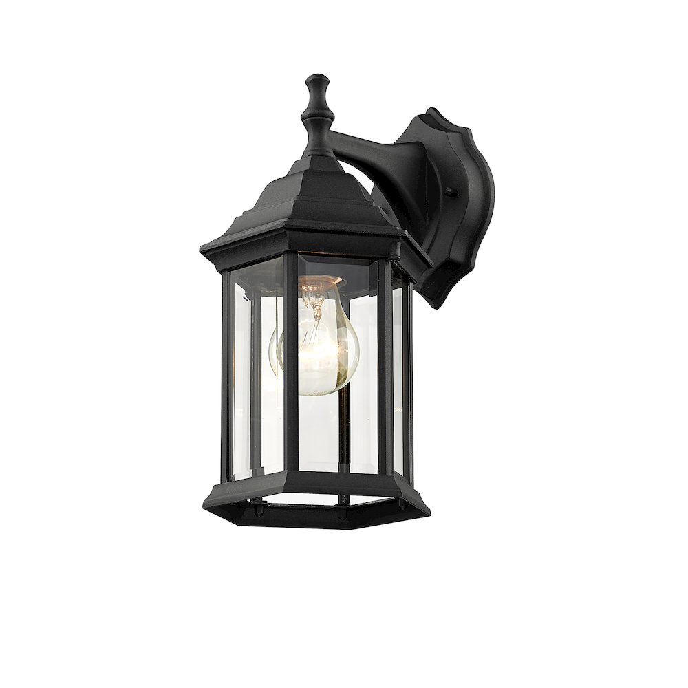 Z-Lite 1 Light Outdoor Wall Light. Picture 3