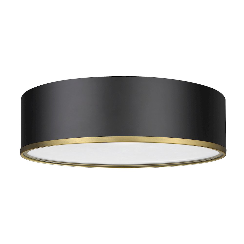 Z-Lite 4 Light Flush Mount. Picture 5