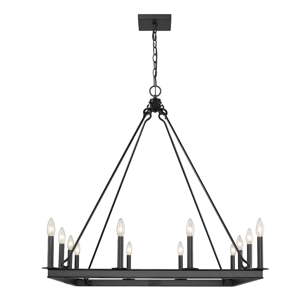 Z-Lite 12 Light Chandelier. Picture 2