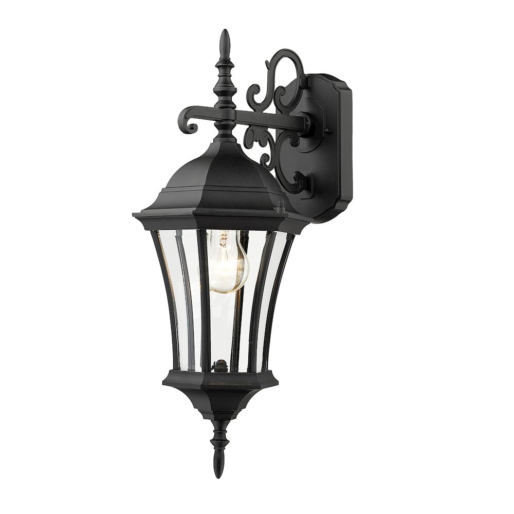 Z-Lite 1 Light Outdoor Wall Light. Picture 1