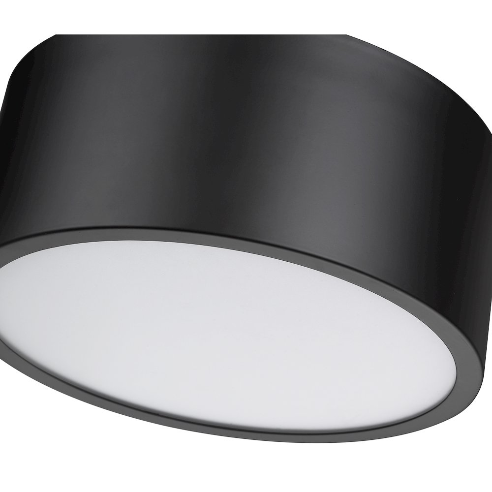 Z-Lite 2 Light Flush Mount. Picture 4