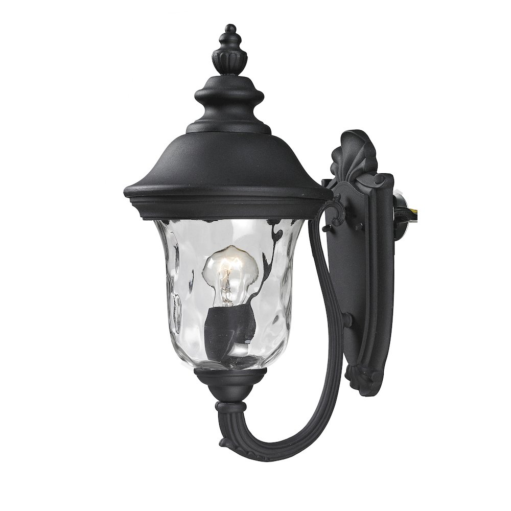Z-Lite 1 Light Outdoor Wall Light. Picture 1