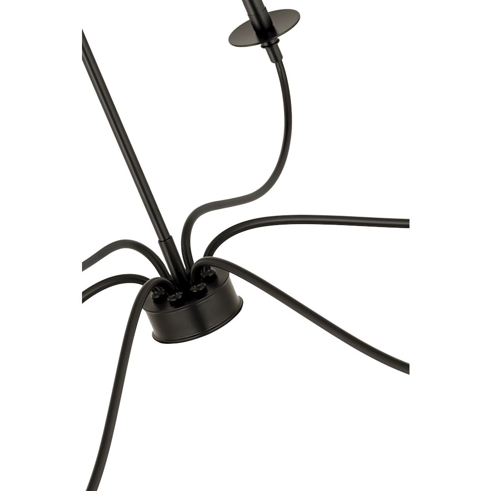 Z-Lite 6 Light Chandelier. Picture 3