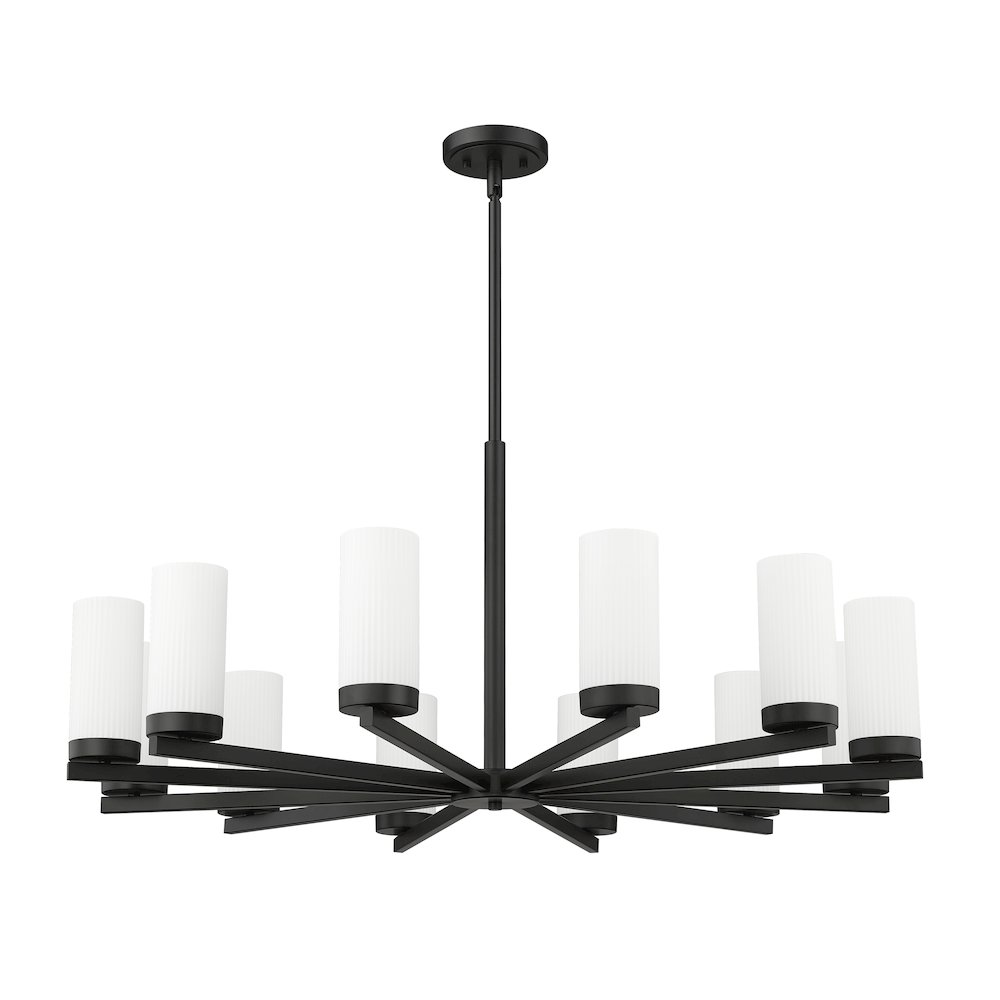 Z-Lite 12 Light Chandelier. Picture 5