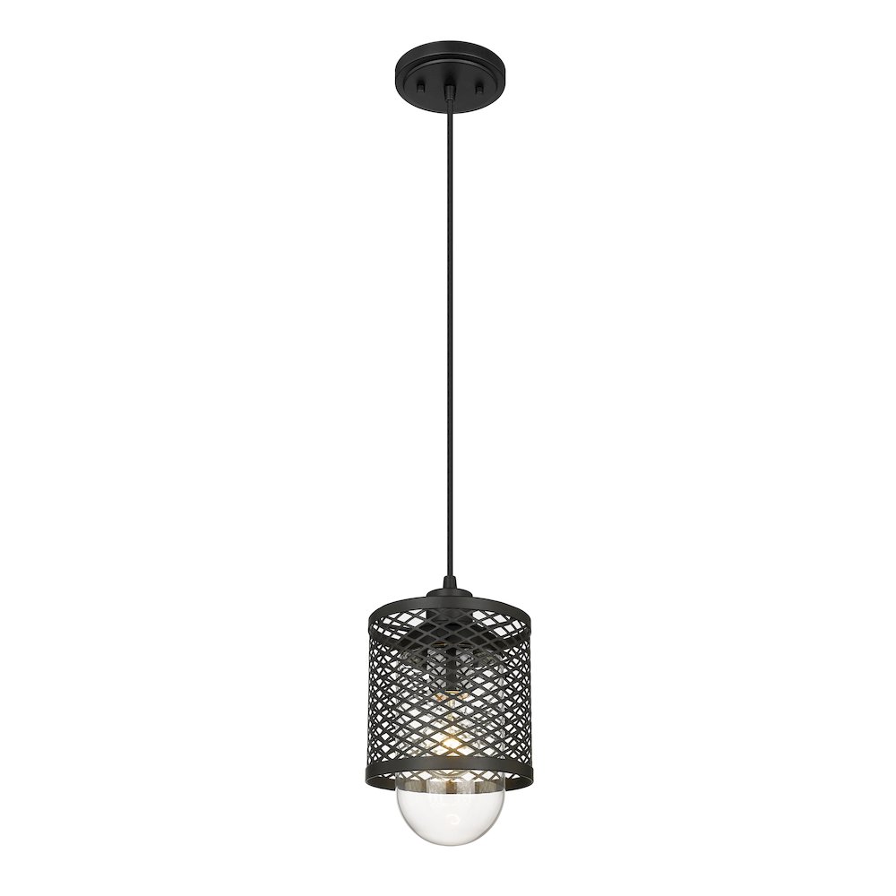 Z-Lite 1 Light Pendant. Picture 1