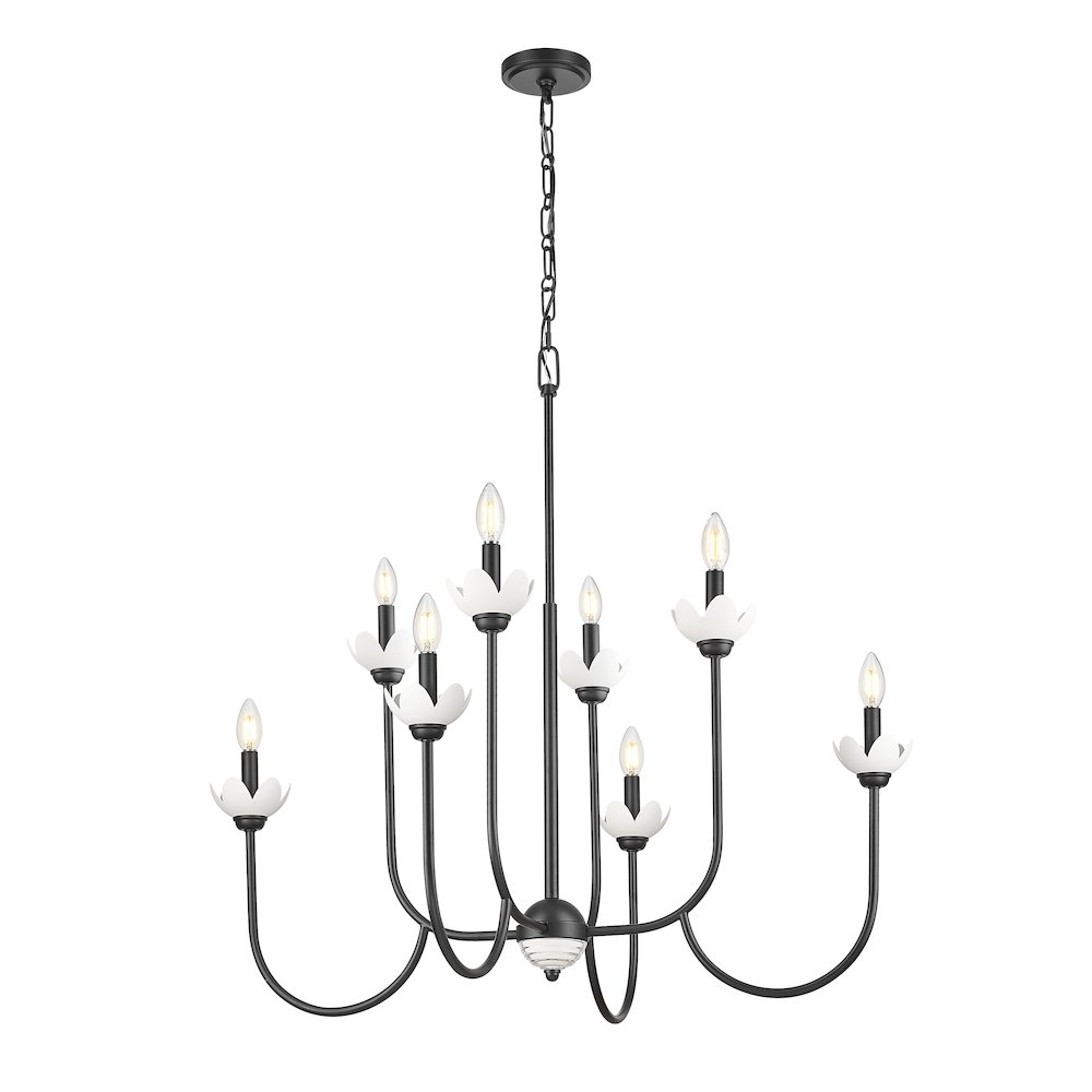 Z-Lite Allistair 8 Light Chandelier in Matte Black color, Steel frame. Picture 3