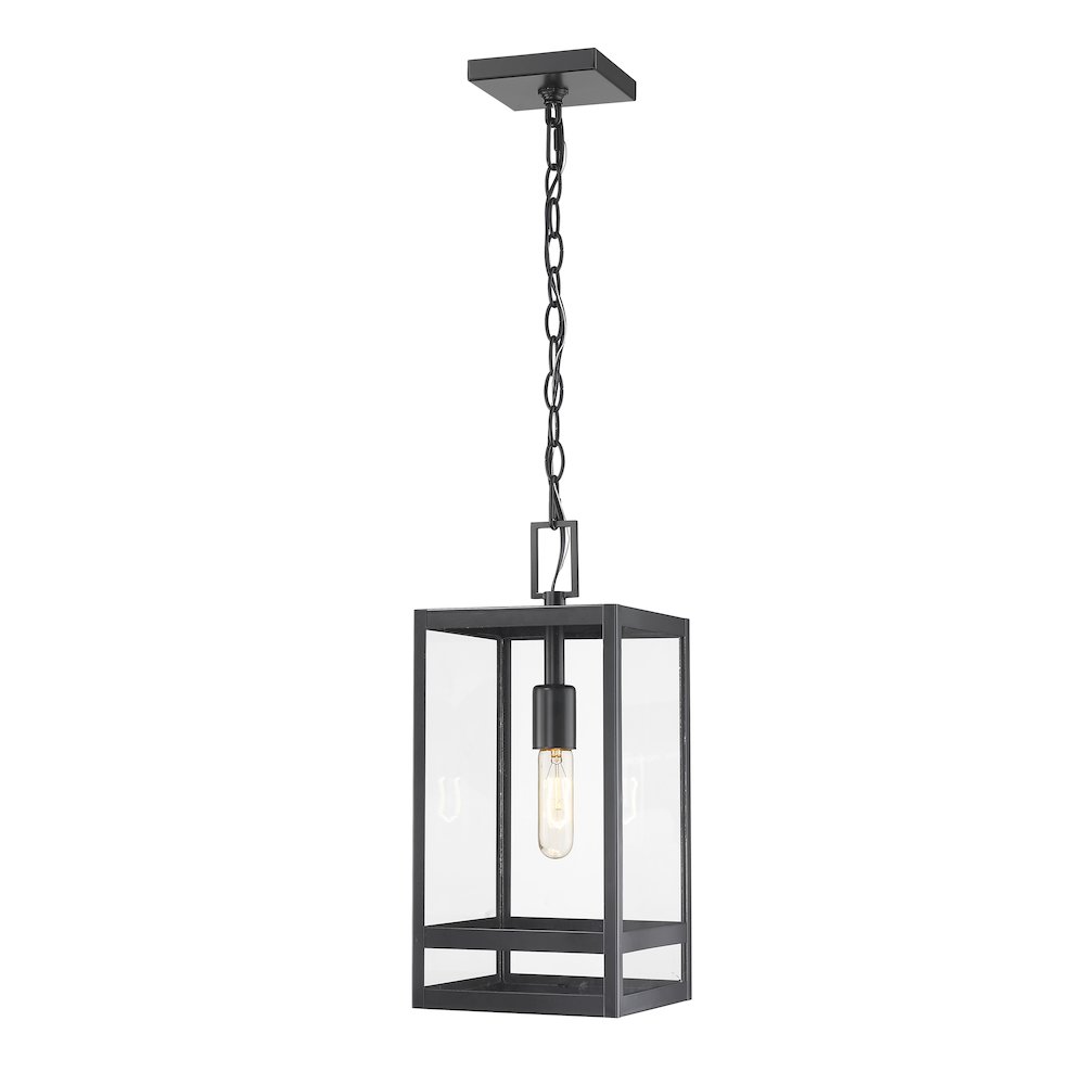 Z-Lite 1 Light Outdoor Chain Mount Ceiling Fixture. Picture 1