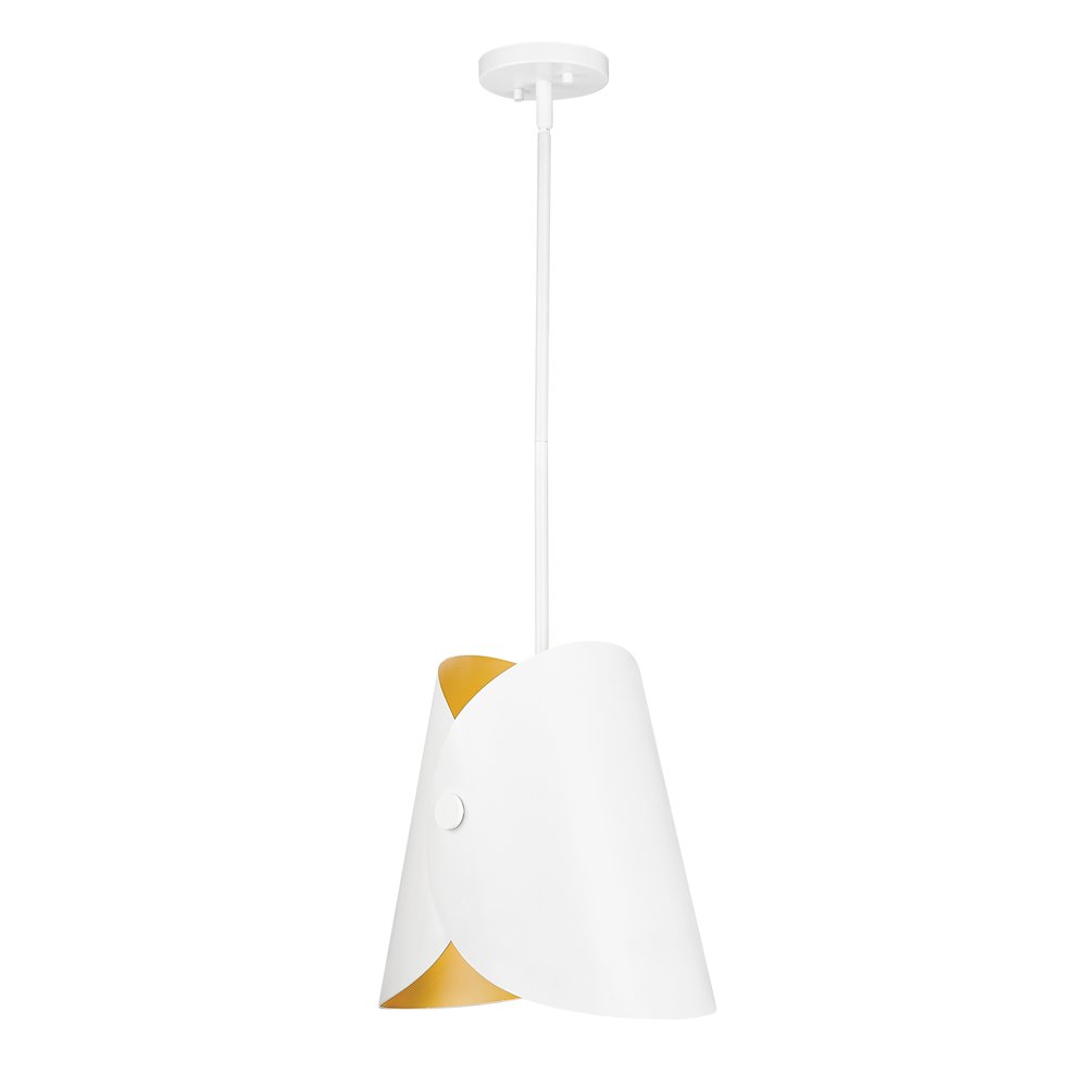 Z-Lite 1 Light Pendant. Picture 1