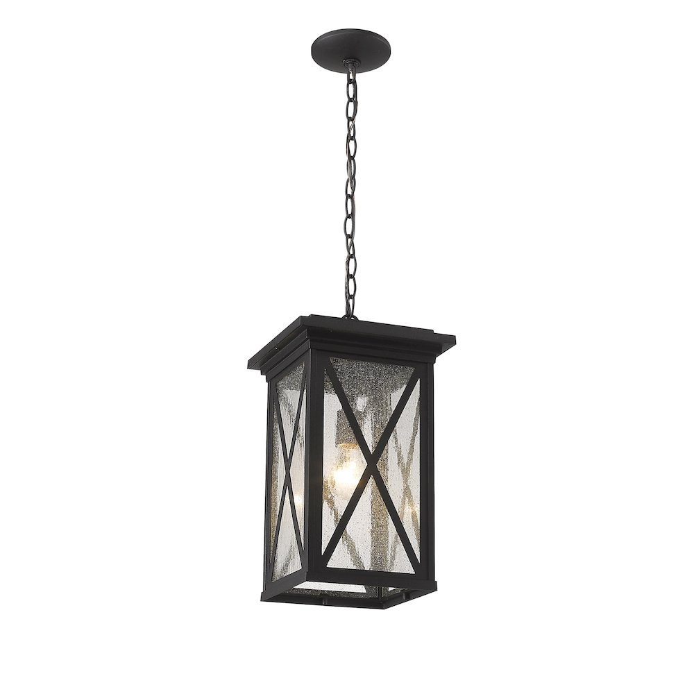 Z-Lite 1 Light Outdoor Chain Mount Ceiling Fixture. Picture 3