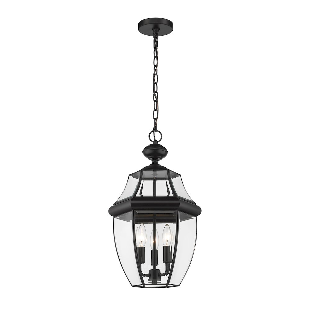 Z-Lite 3 Light Outdoor Chain Mount Ceiling Fixture. Picture 1