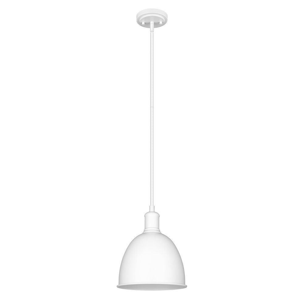 Z-Lite 1 Light Pendant. Picture 5