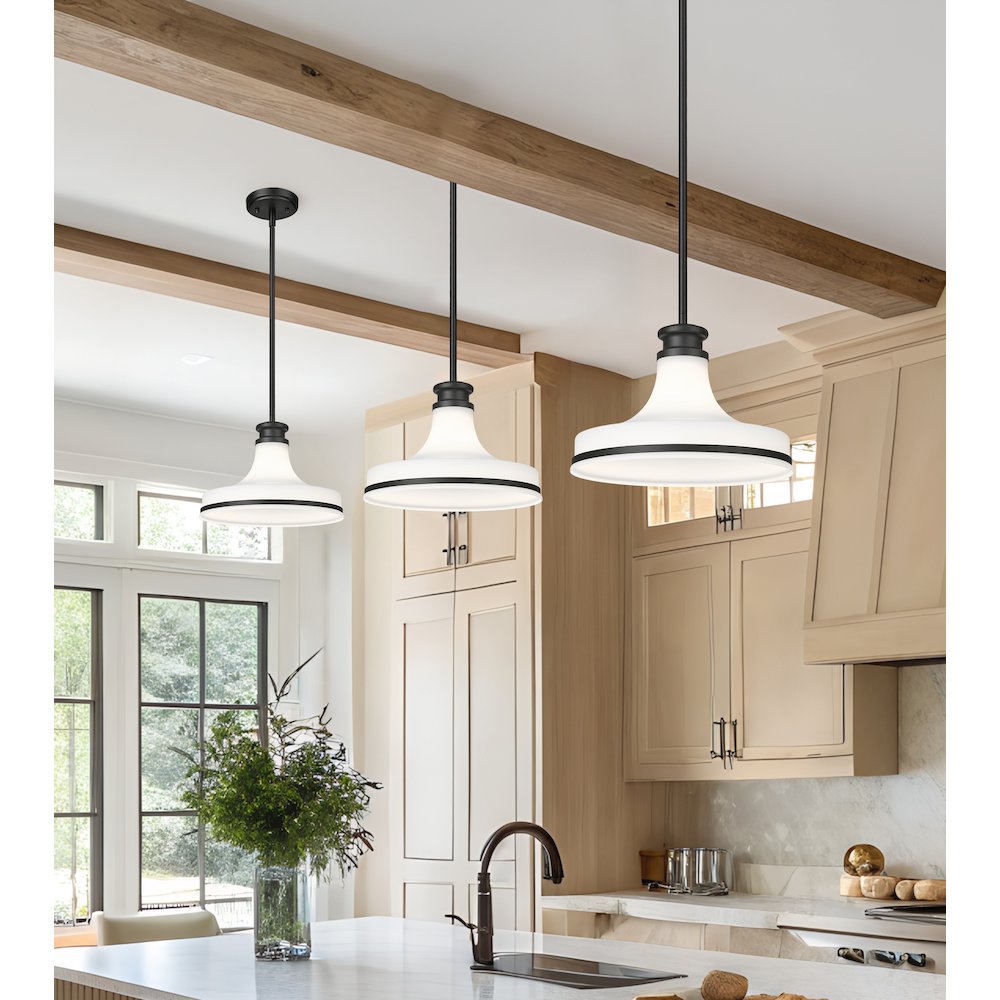 Z-Lite 1 Light Pendant, Matte Black. Picture 5