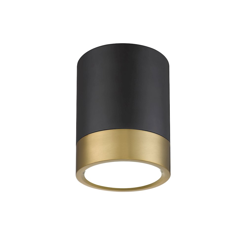 Z-Lite 1 Light Flush Mount. Picture 3