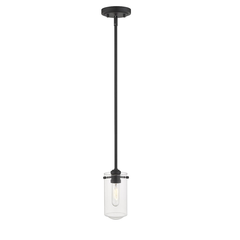 Z-Lite 1 Light Pendant. Picture 4
