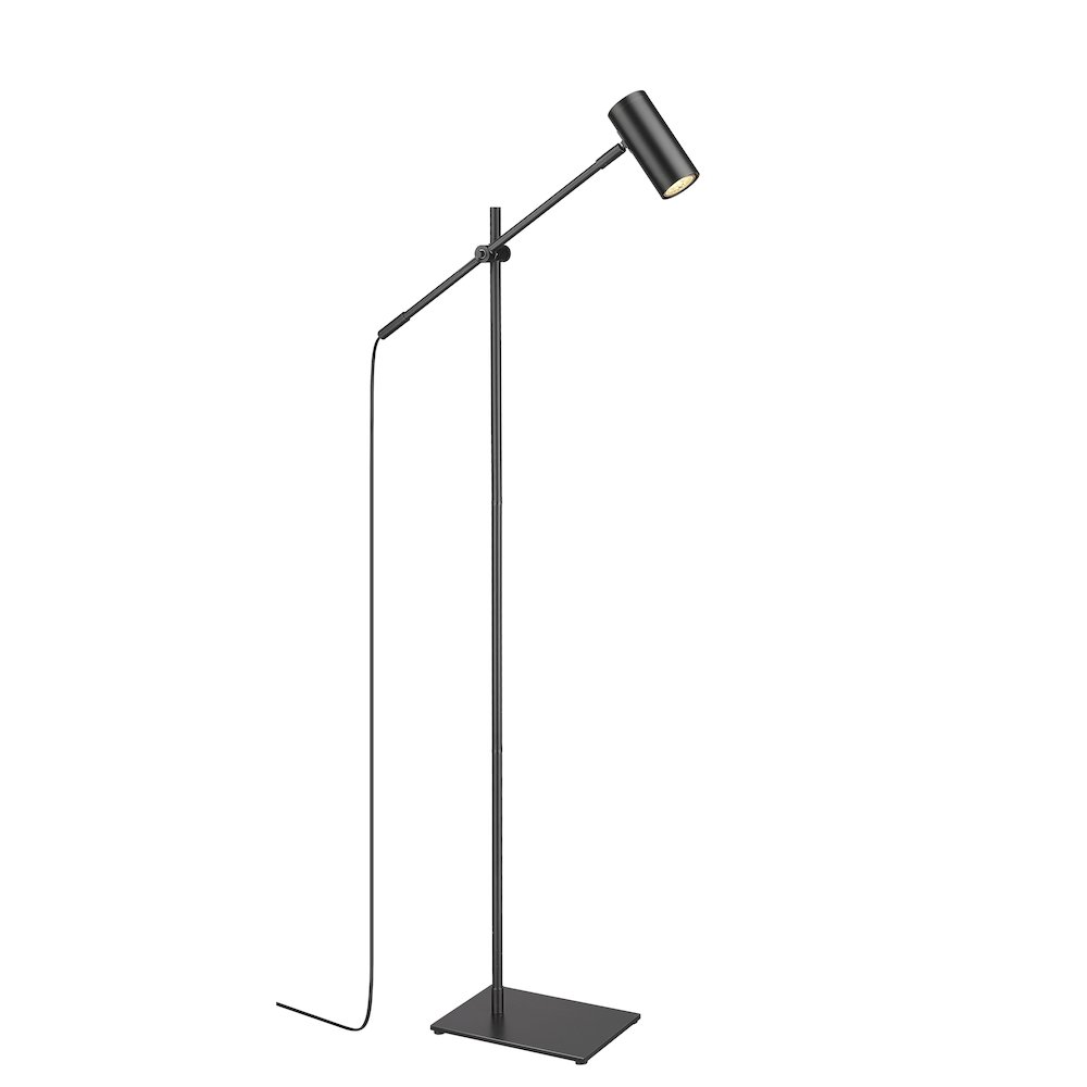 Z-Lite 1 Light Floor Lamp. Picture 1