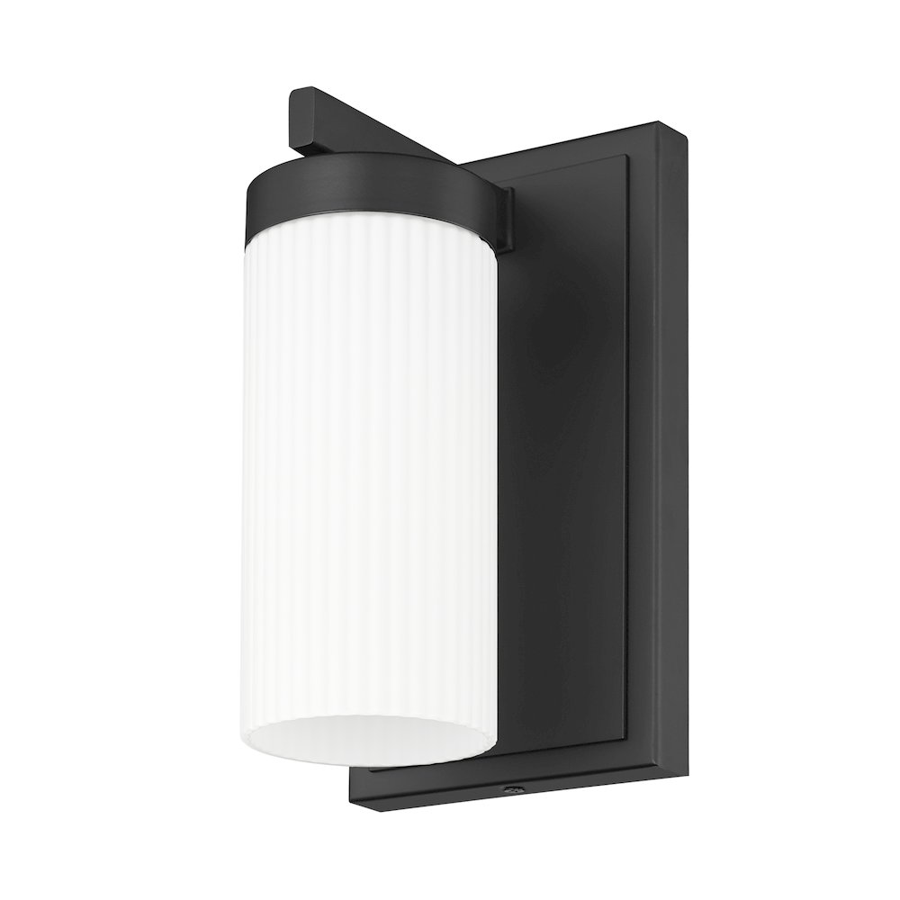 Z-Lite 1 Light Wall Sconce. Picture 5