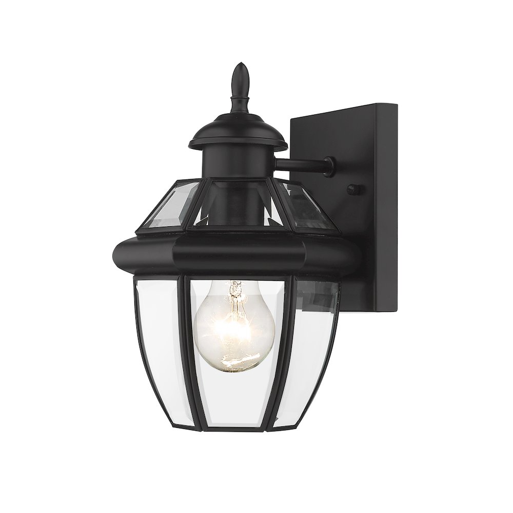 Z-Lite 1 Light Outdoor Wall Light. Picture 3