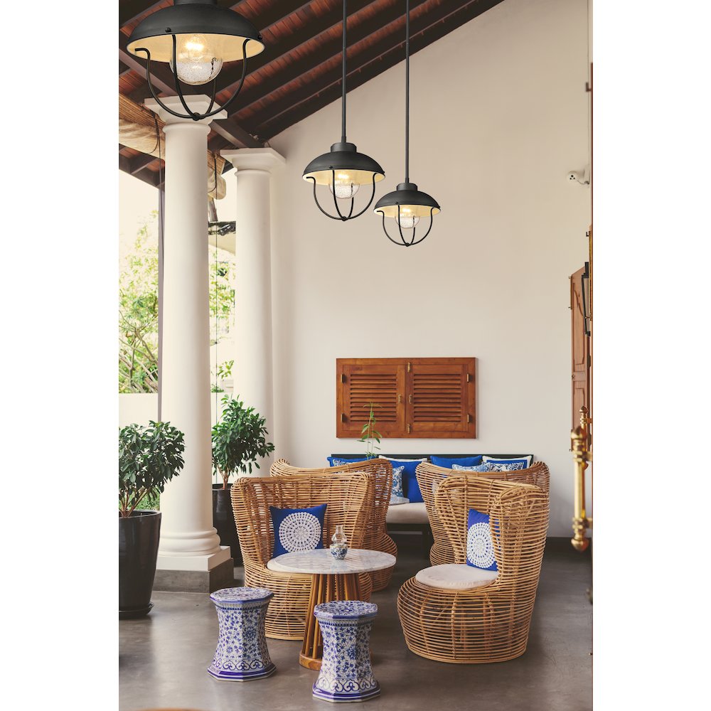 Z-Lite 1 Light Outdoor Pendant. Picture 7