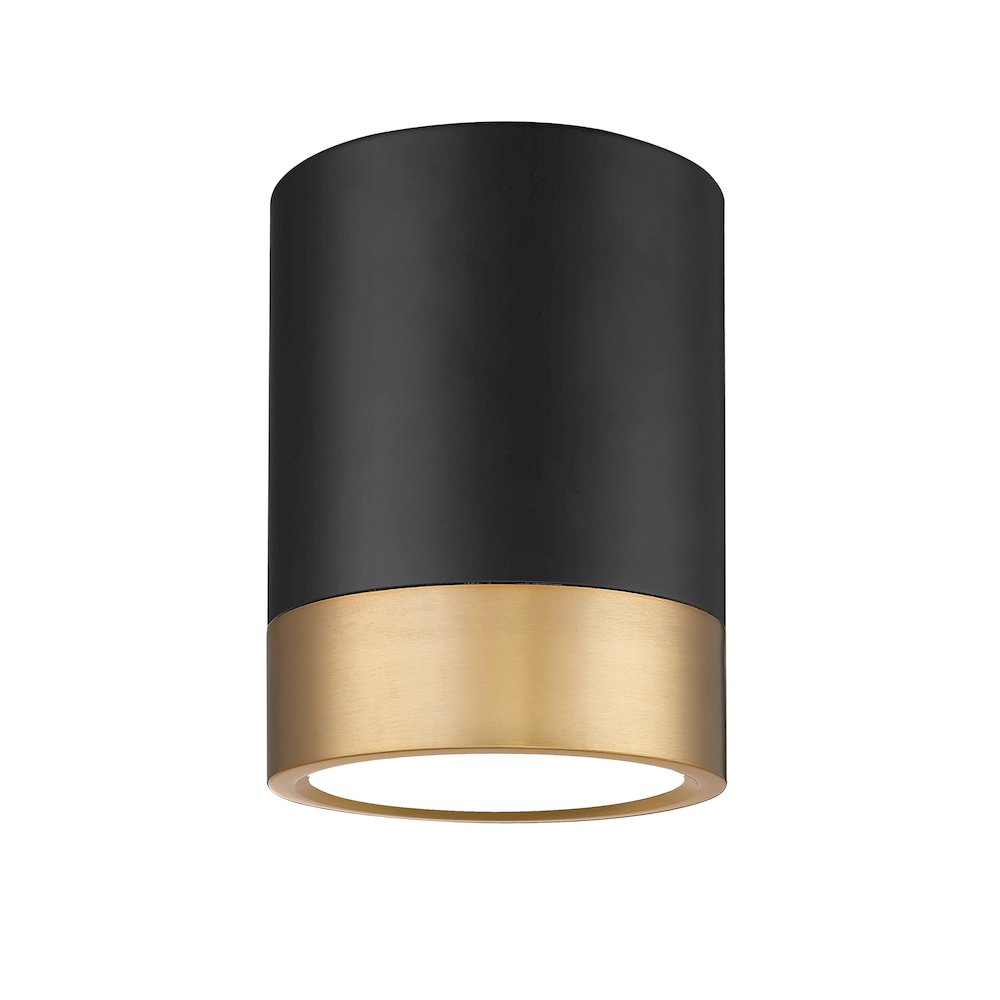 Z-Lite 1 Light Flush Mount. Picture 1