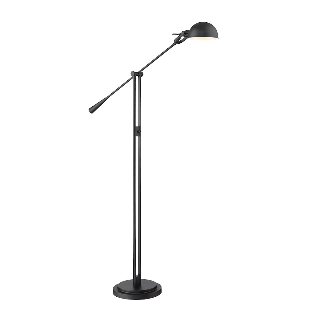 Z-Lite 1 Light Floor Lamp. Picture 1