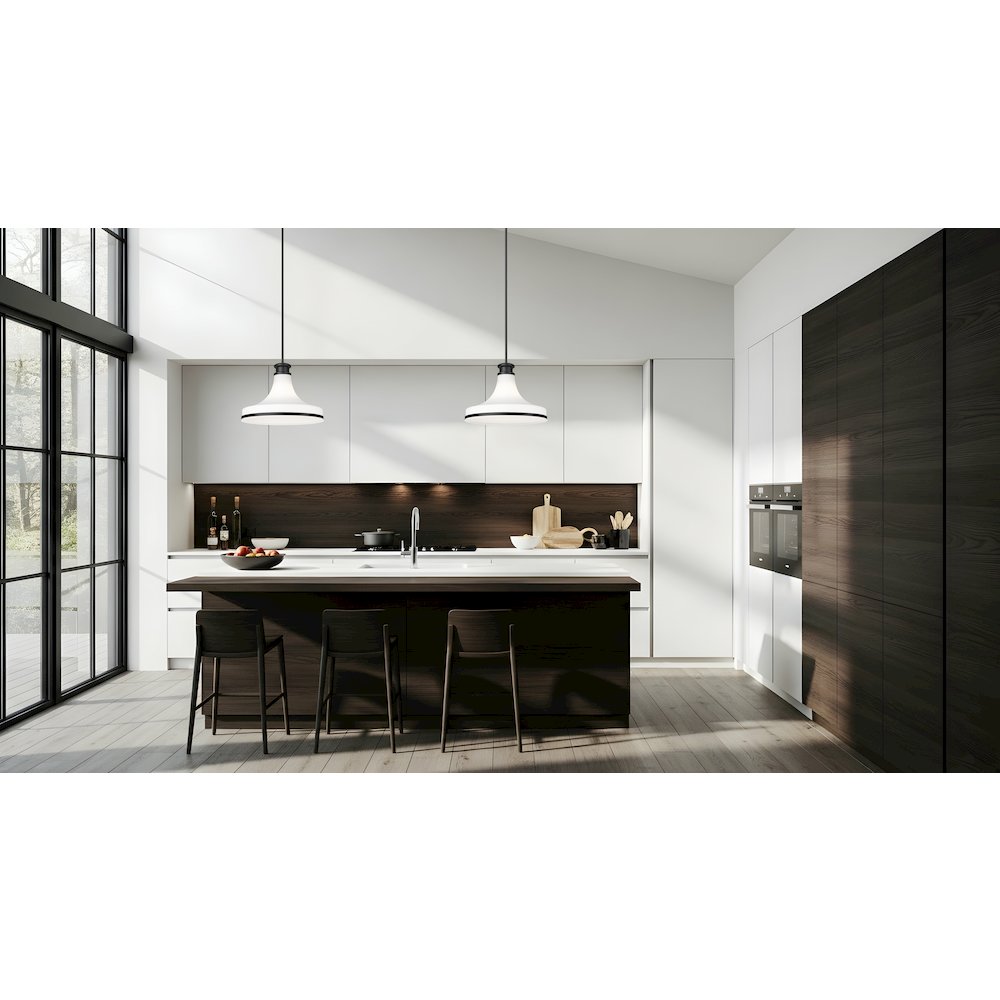 Z-Lite 1 Light Pendant, Matte Black. Picture 5