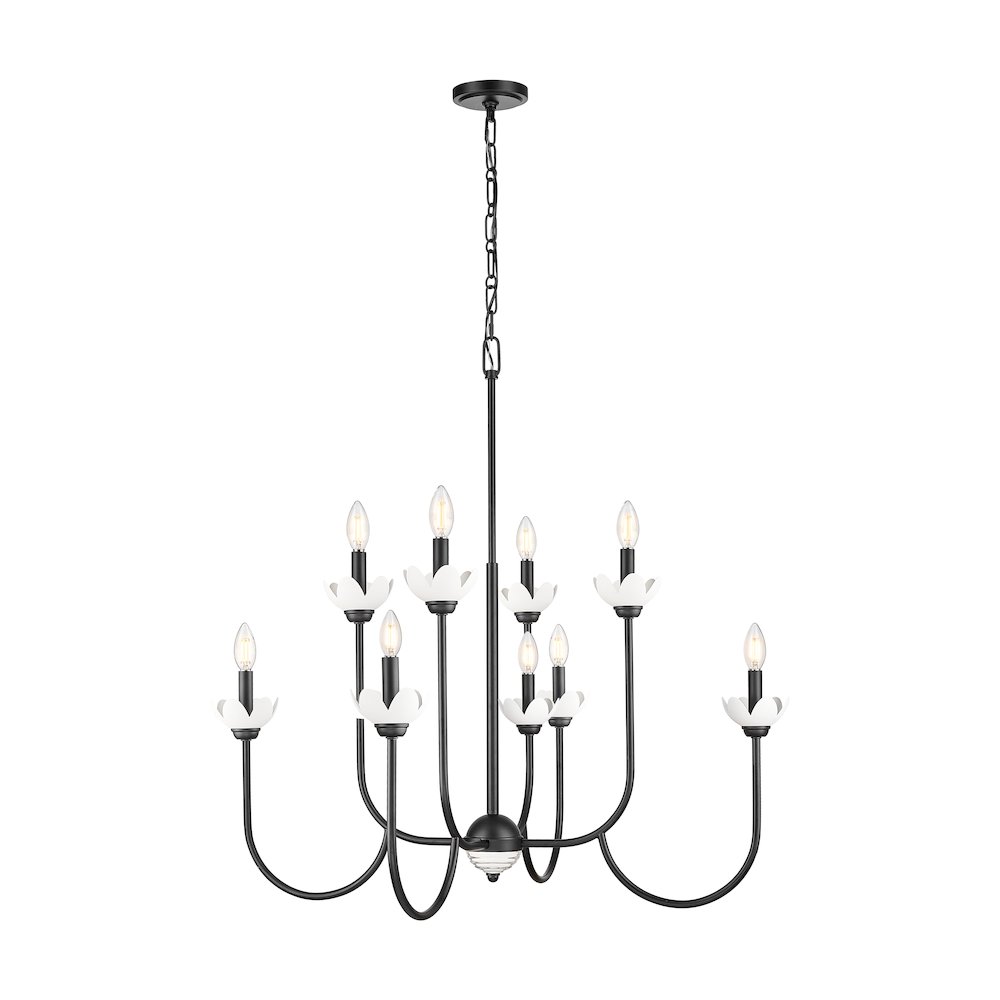Z-Lite Allistair 8 Light Chandelier in Matte Black color, Steel frame. Picture 1