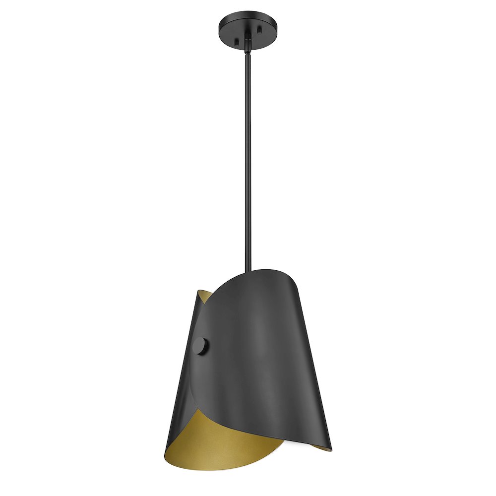 Z-Lite 1 Light Pendant. Picture 5