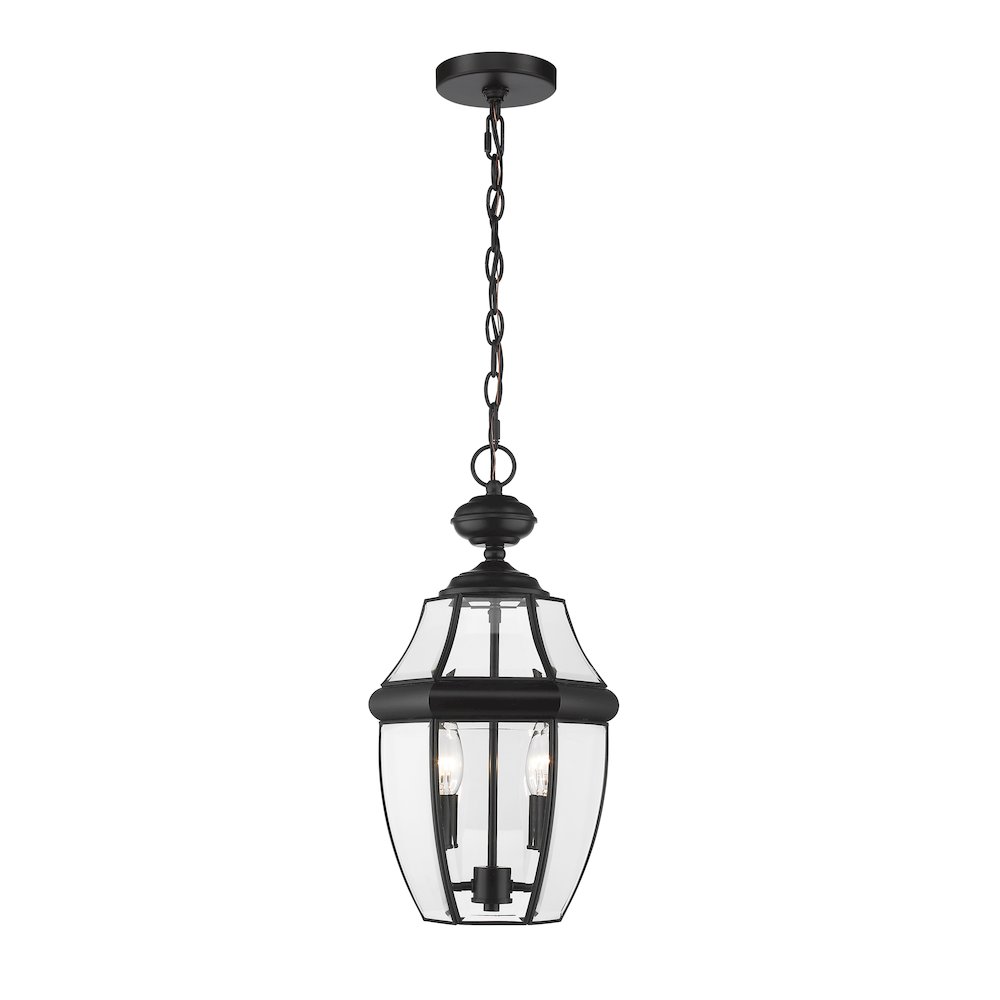 Z-Lite 2 Light Outdoor Chain Mount Ceiling Fixture. Picture 2