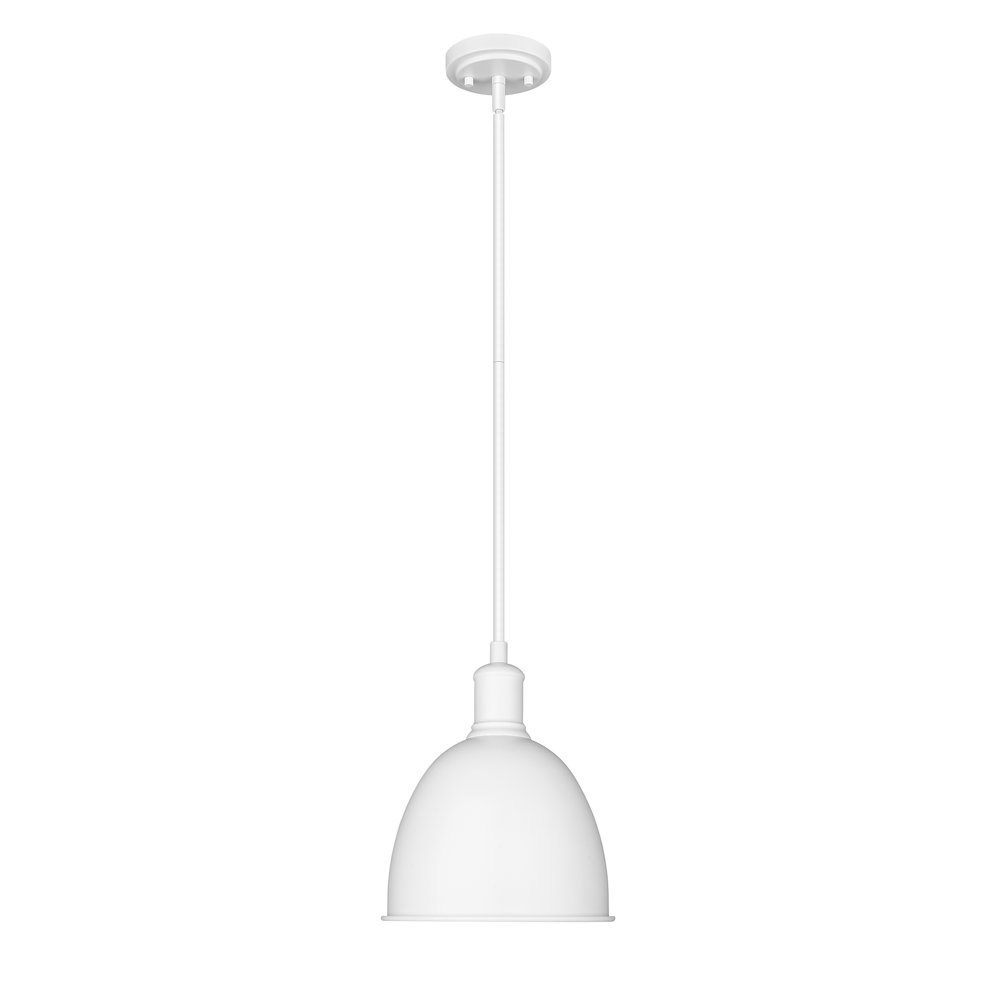 Z-Lite 1 Light Pendant. Picture 1