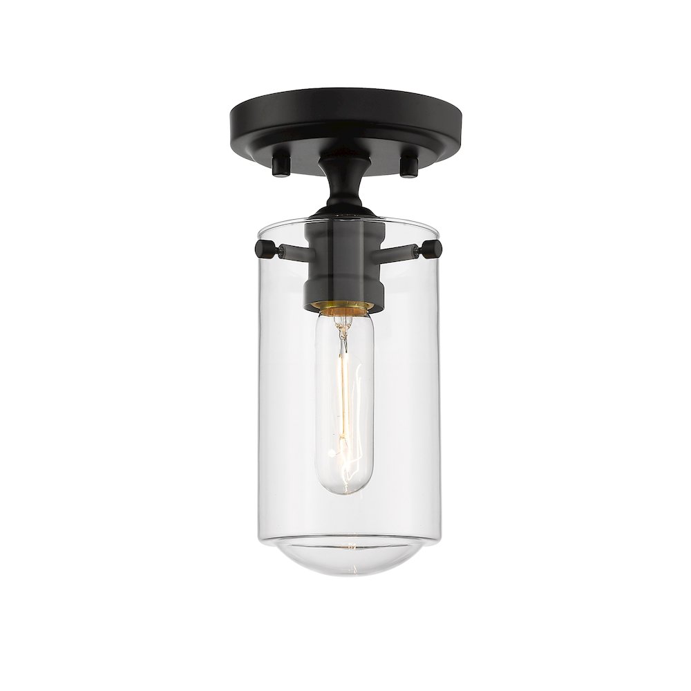 Z-Lite 1 Light Flush Mount. Picture 1