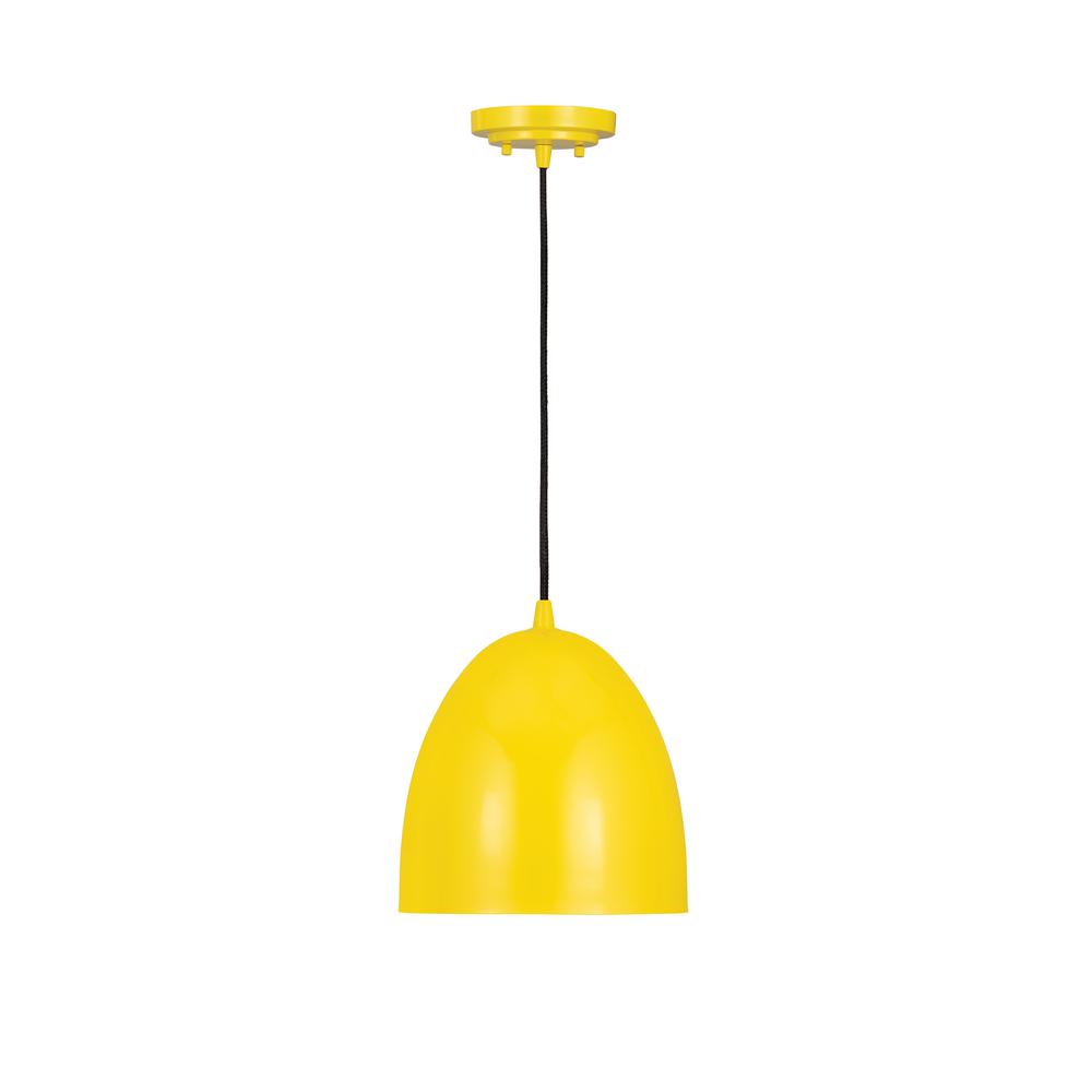 1 Light Pendant. Picture 1