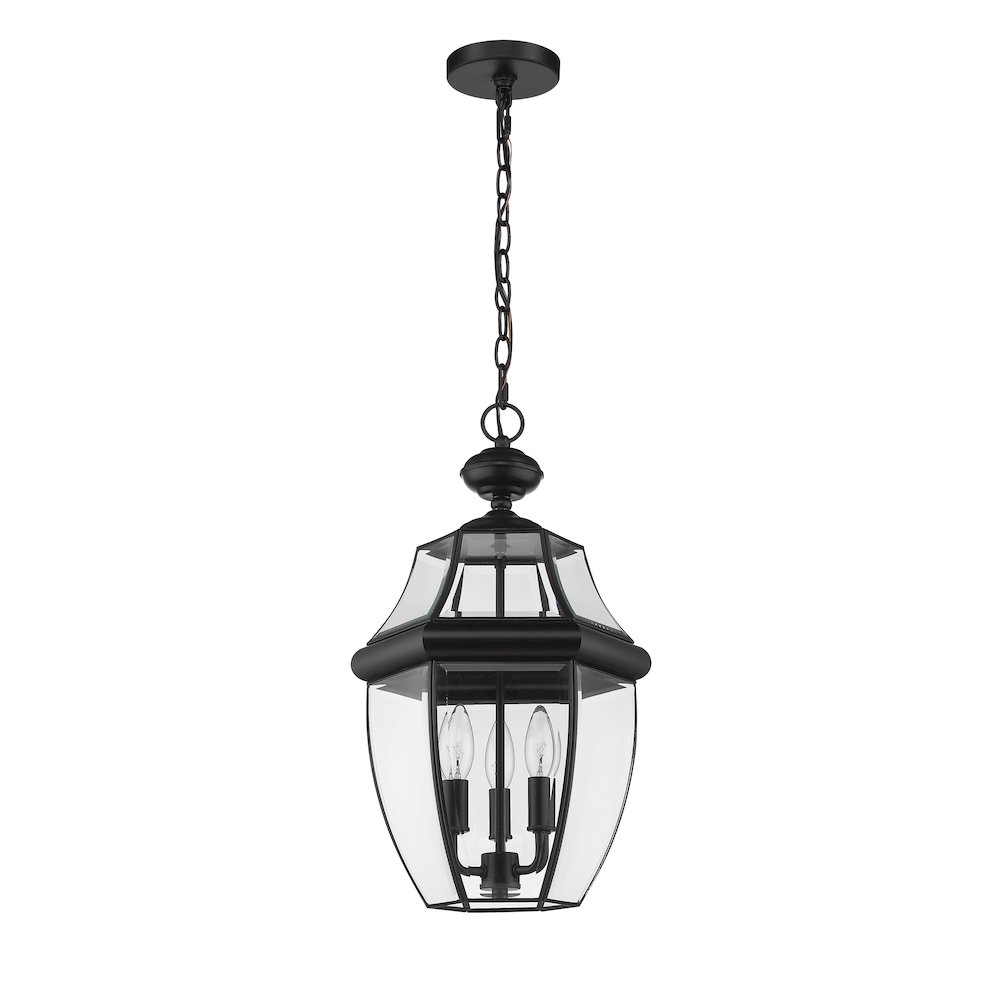 Z-Lite 3 Light Outdoor Chain Mount Ceiling Fixture. Picture 5