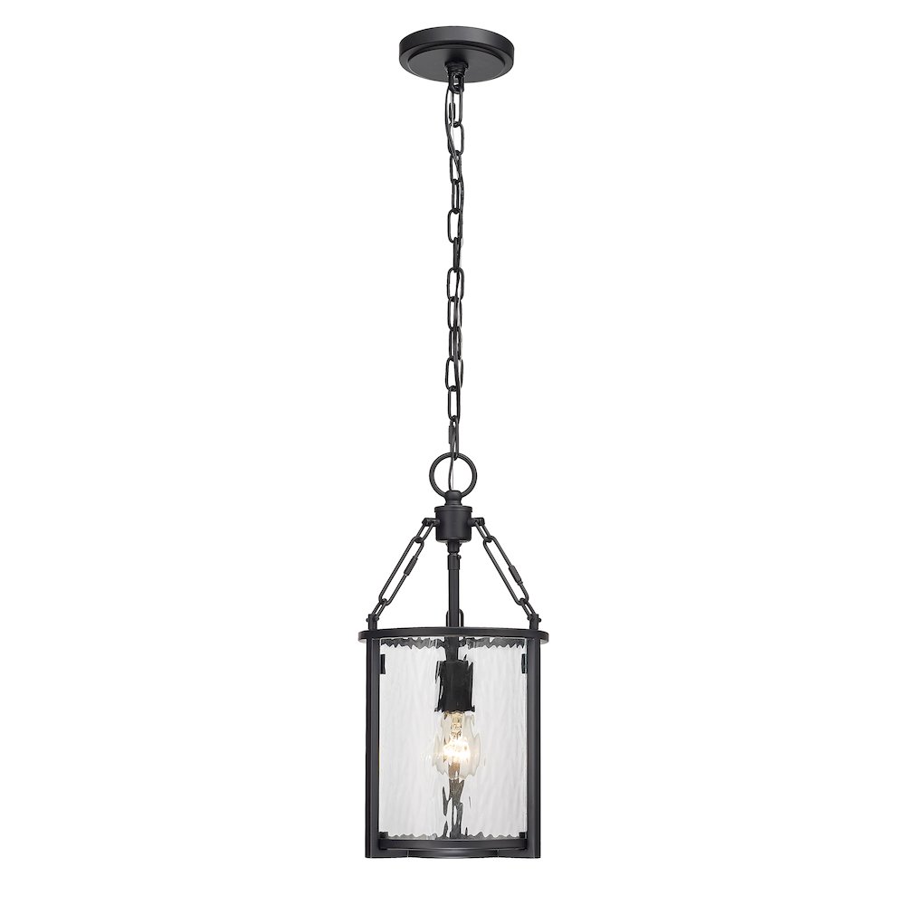 Z-Lite 1 Light Pendant. Picture 1