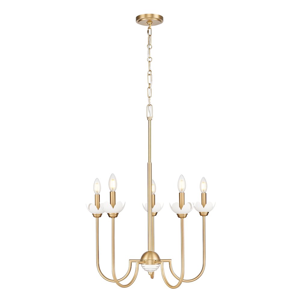 Z-Lite Allistair 5 Light Chandelier in Modern Gold color, Steel frame. Picture 1