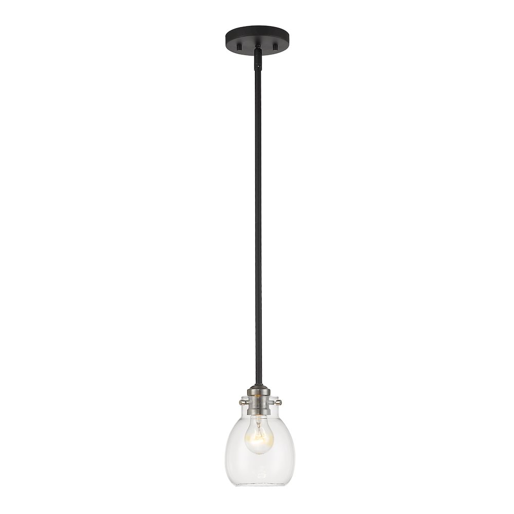 Z-Lite 1 Light Pendant. Picture 1