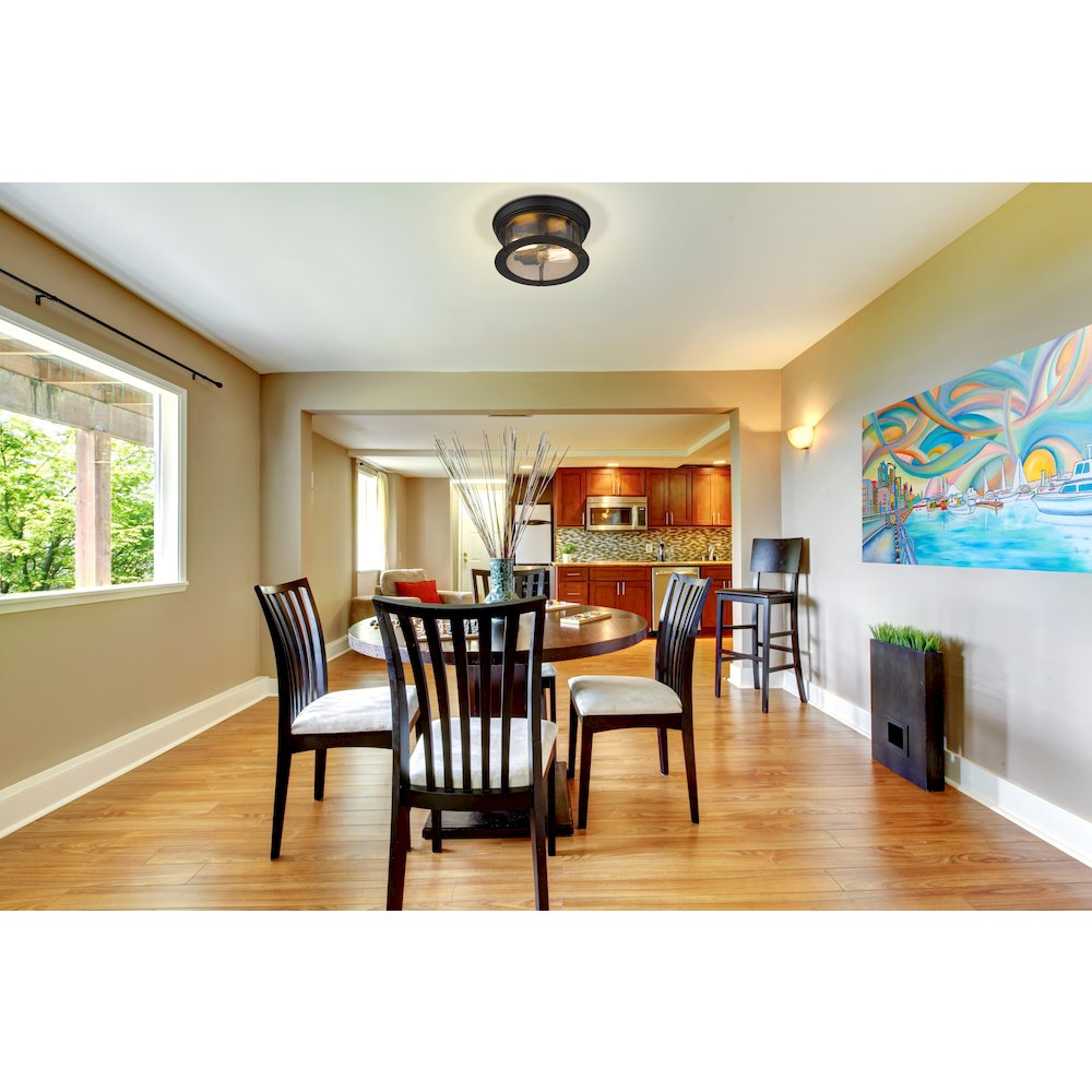 Z-Lite 2 Light Flush Mount. Picture 7