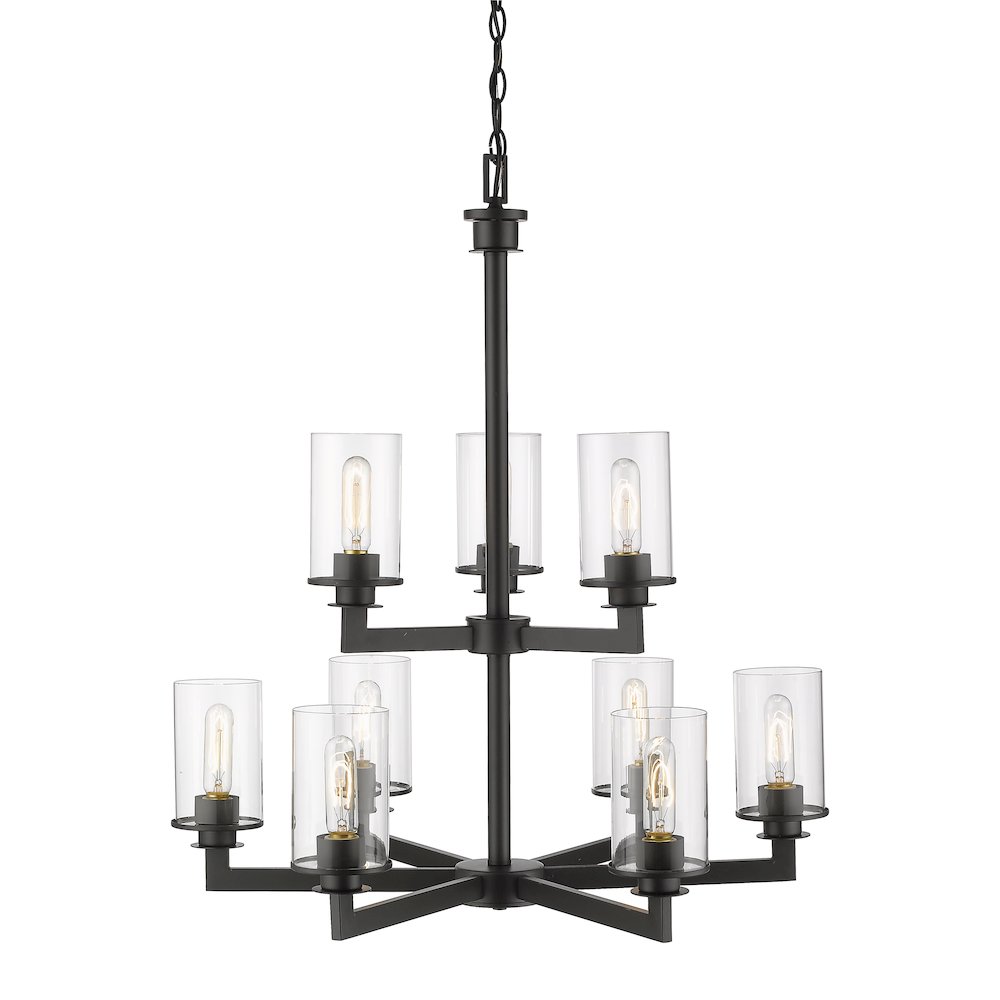 Z-Lite 9 Light Chandelier. Picture 4