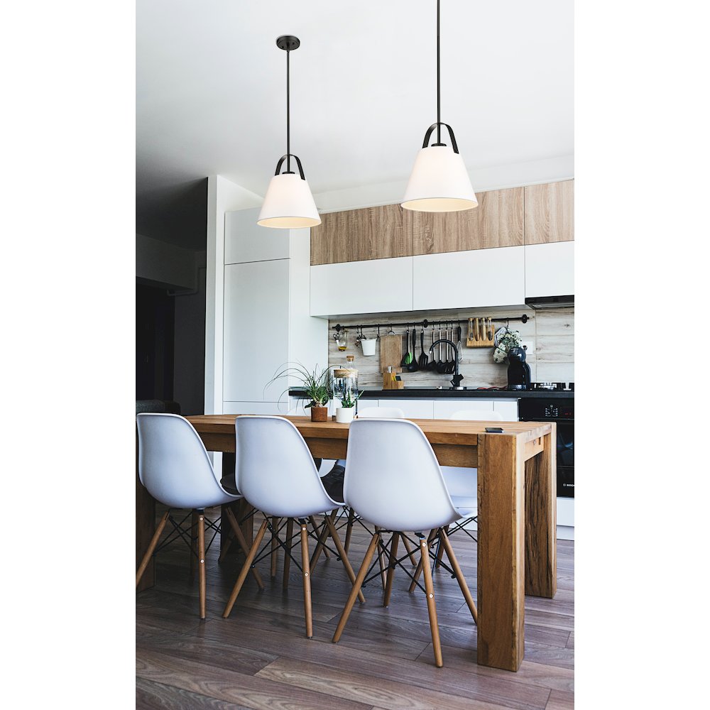 Z-Lite 1 Light Pendant. Picture 7