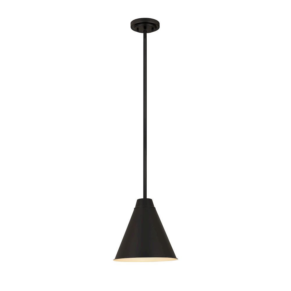 Z-Lite 1 Light Pendant. Picture 1