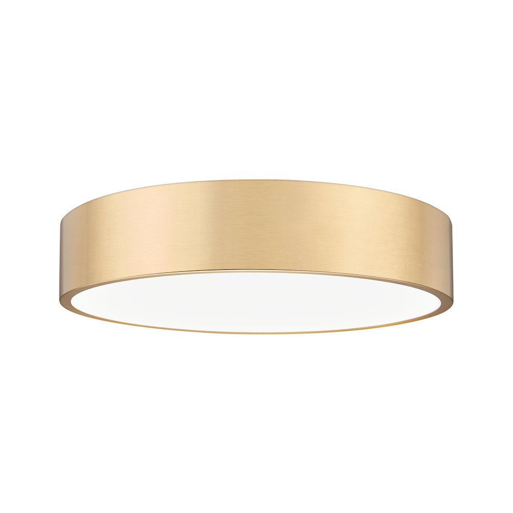 Z-Lite 1 Light Flush Mount. Picture 1