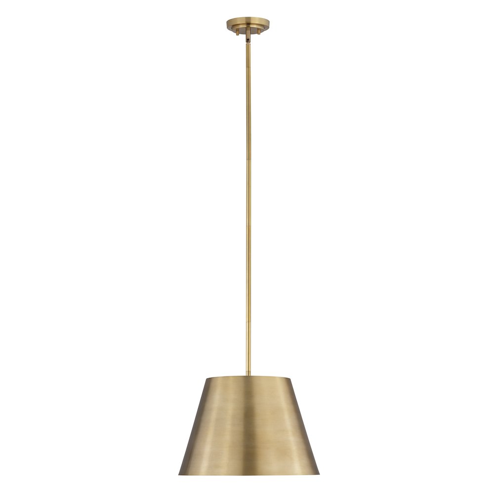 Z-Lite 1 Light Pendant. Picture 1